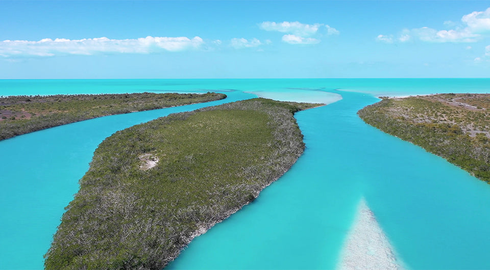 Guide to Fishing in Andros Island, Bahamas