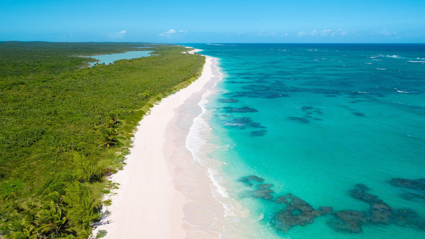 Guide to Fishing Cat Island Bahamas