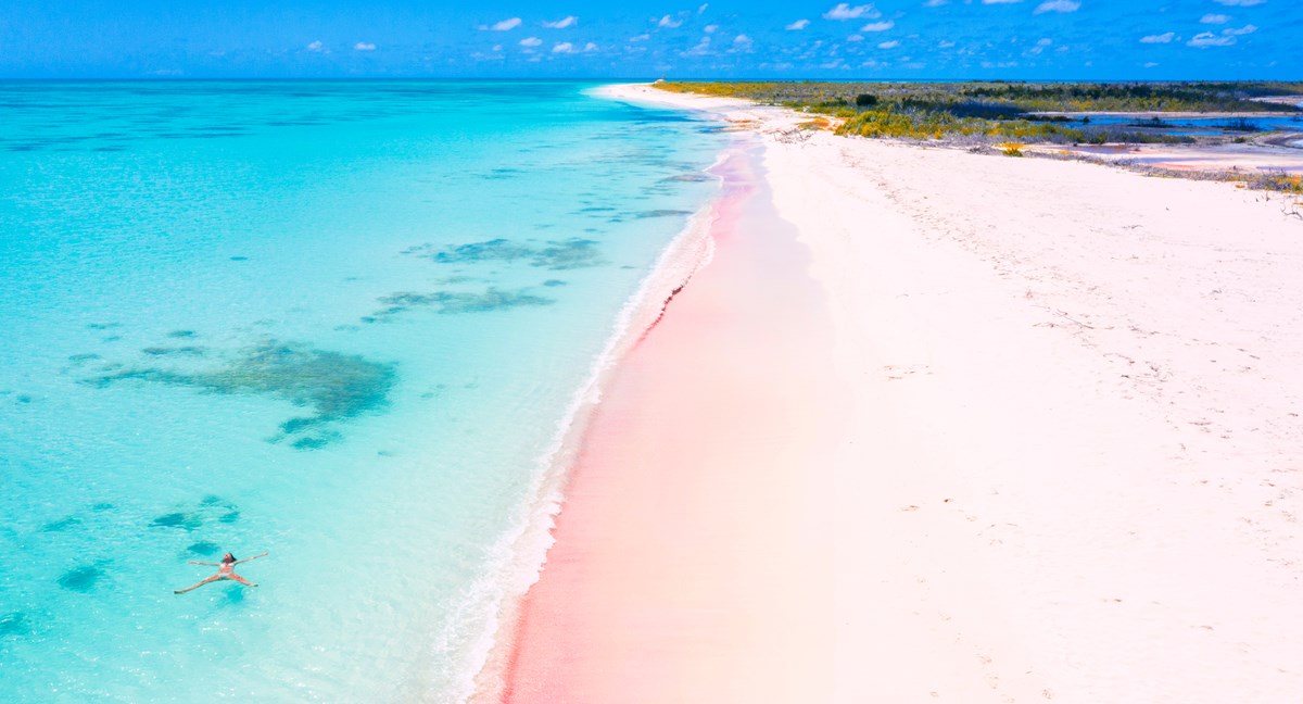 Guide to Harbour Island, Bahamas Fishing
