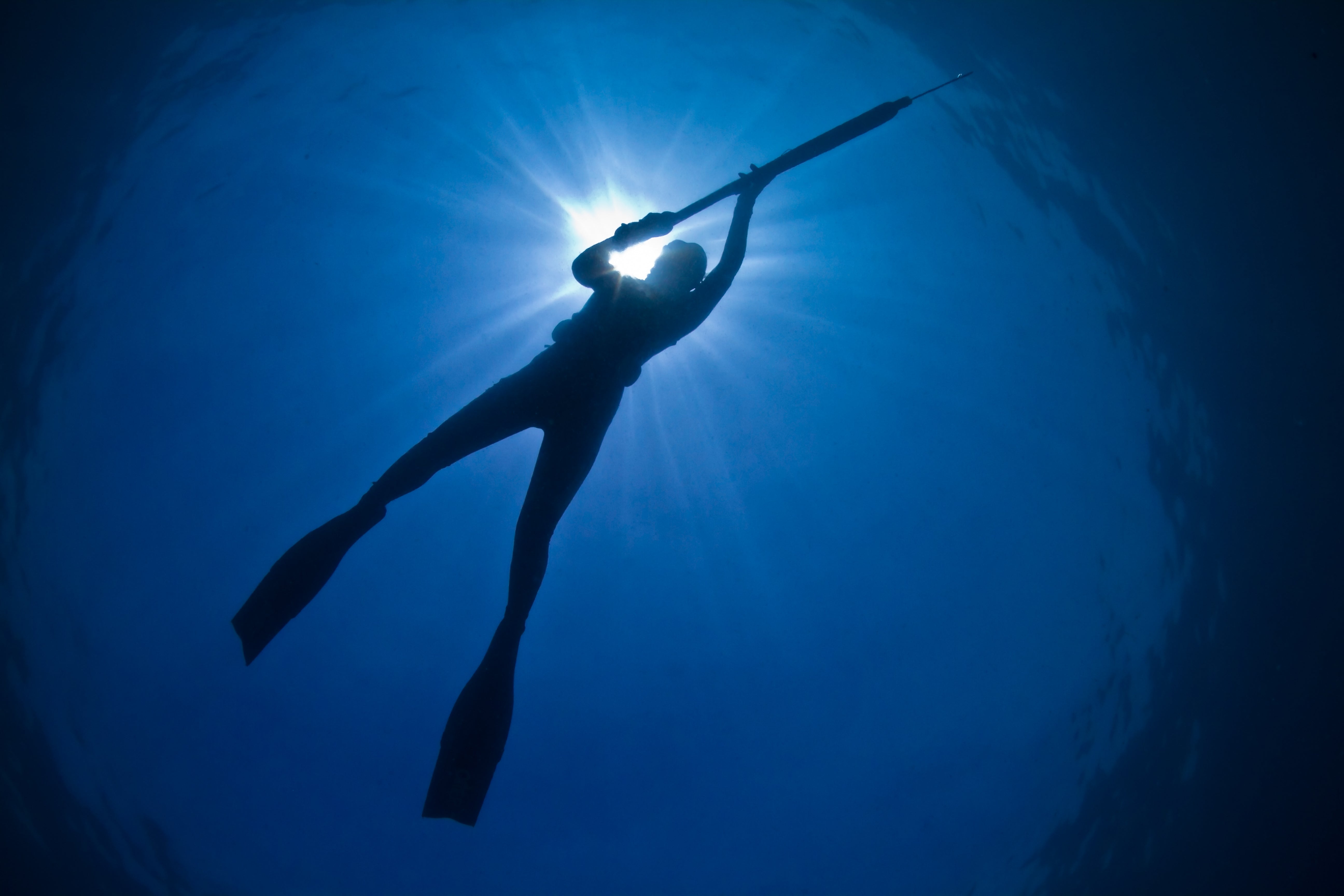 A woman spearfishing in the ocean with spearfishing gear on