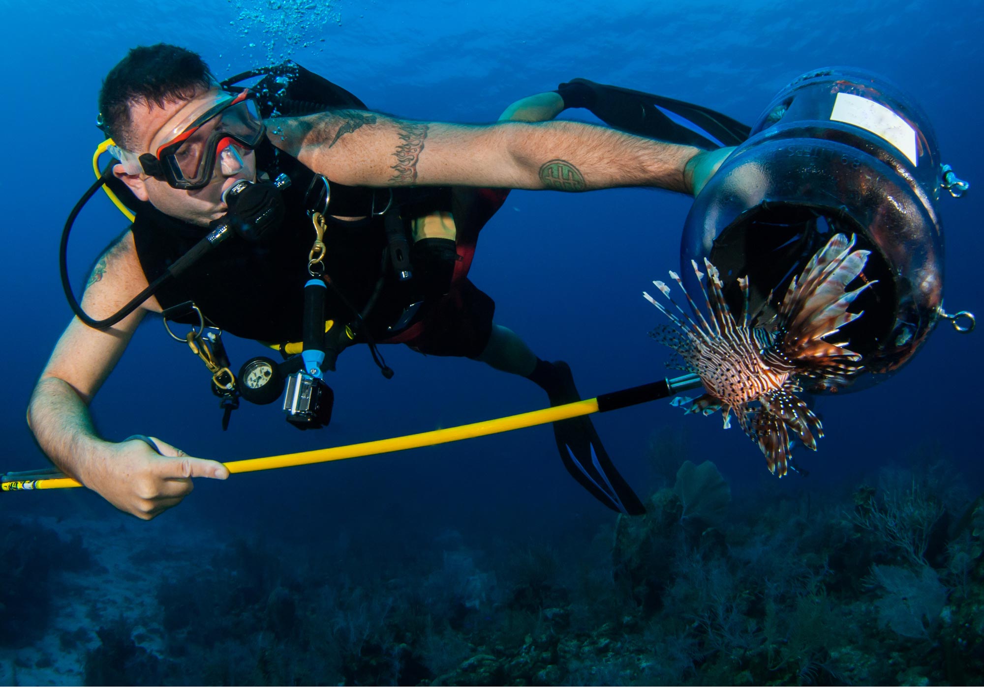 Hawaiian Sling vs Pole Spear: What's the Difference? –